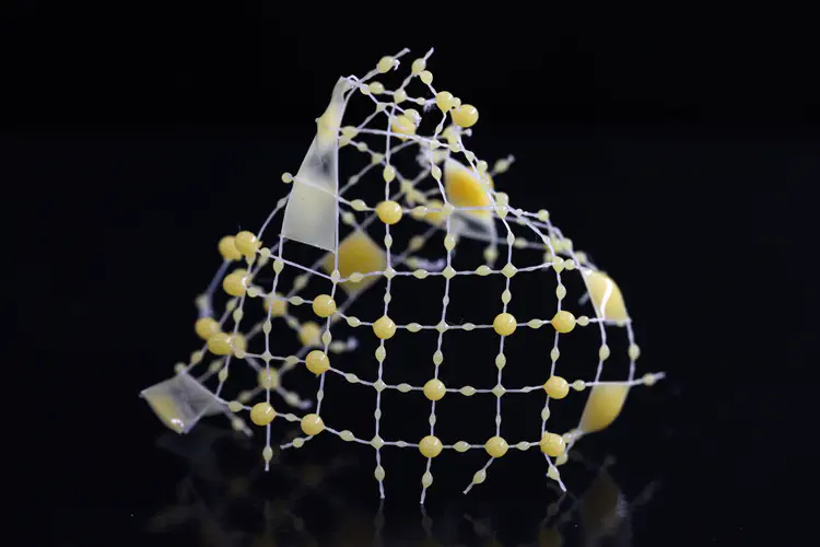 Spiderweb inspired structure